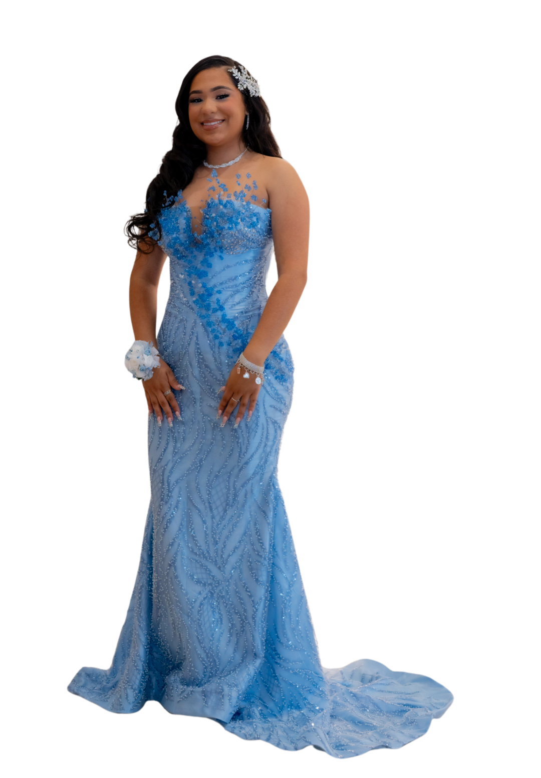 Evening/Prom Dress 3