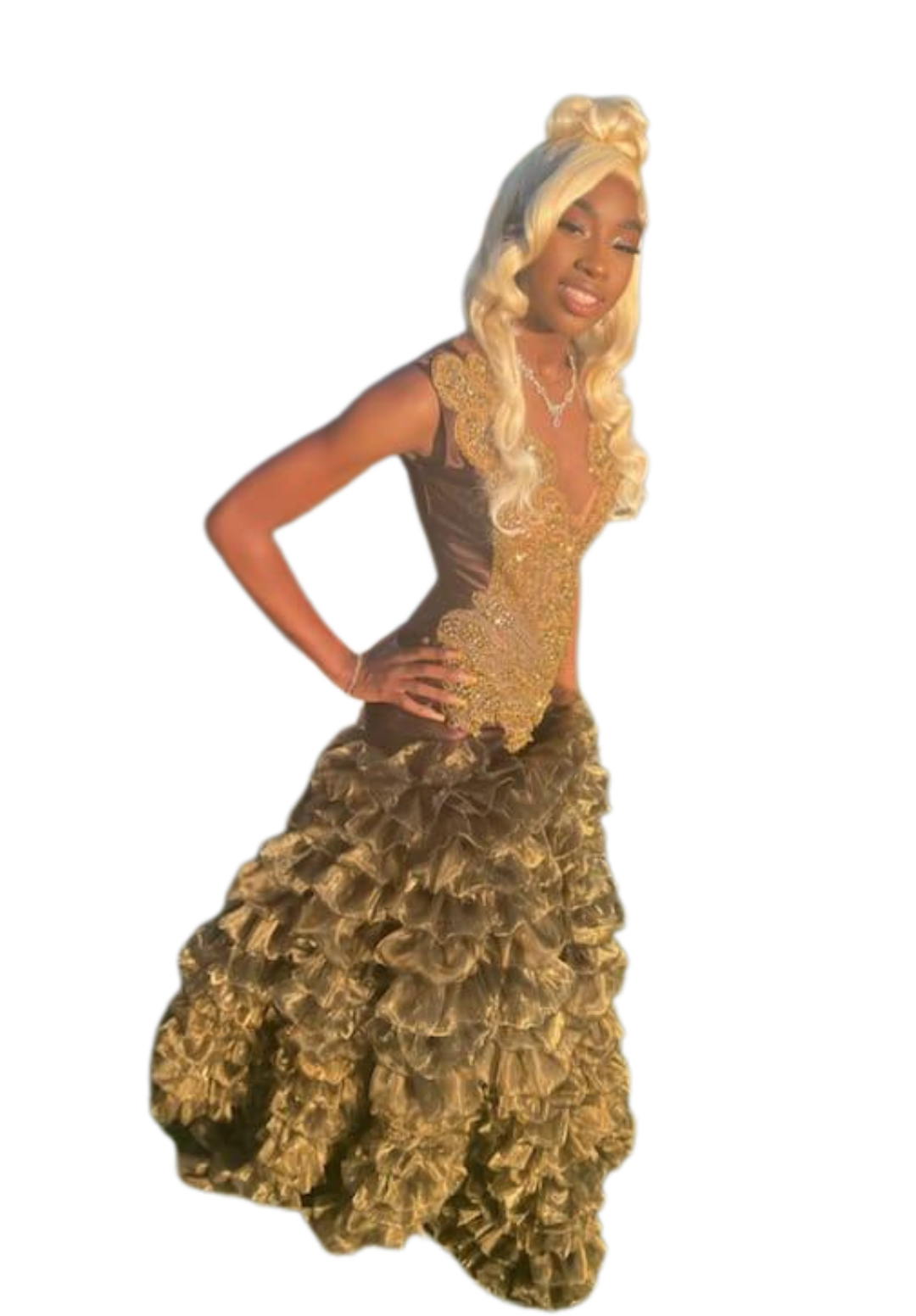 Evening/Prom Dress 8